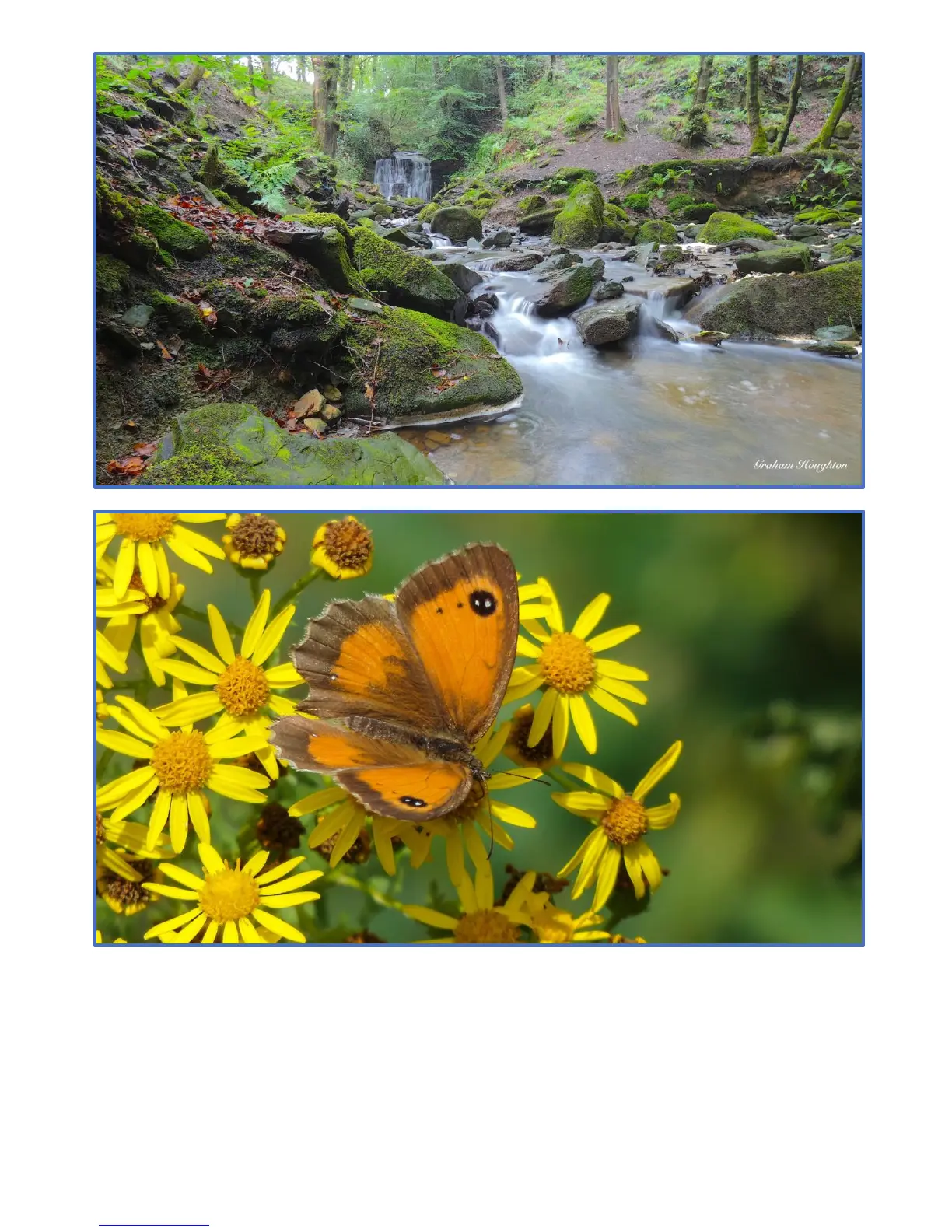 Page #22 background image