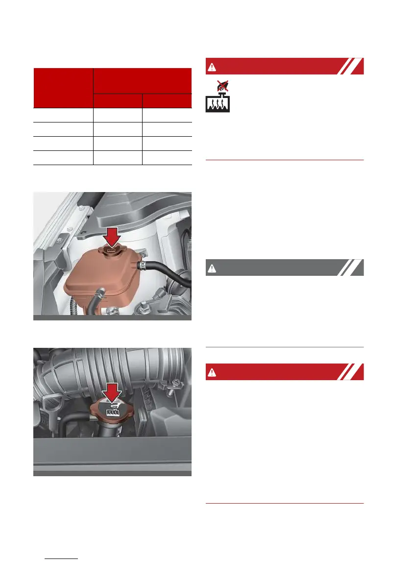Page #558 background image