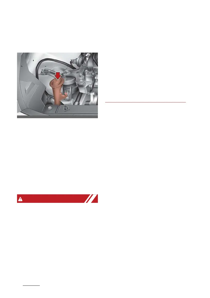 Page #562 background image