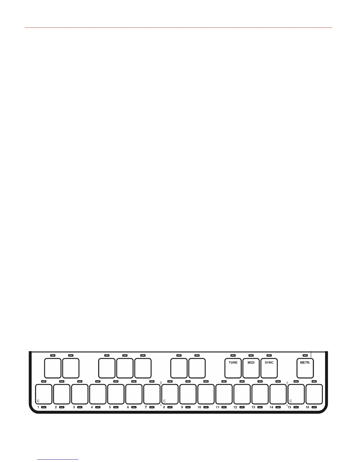 Page #19 background image