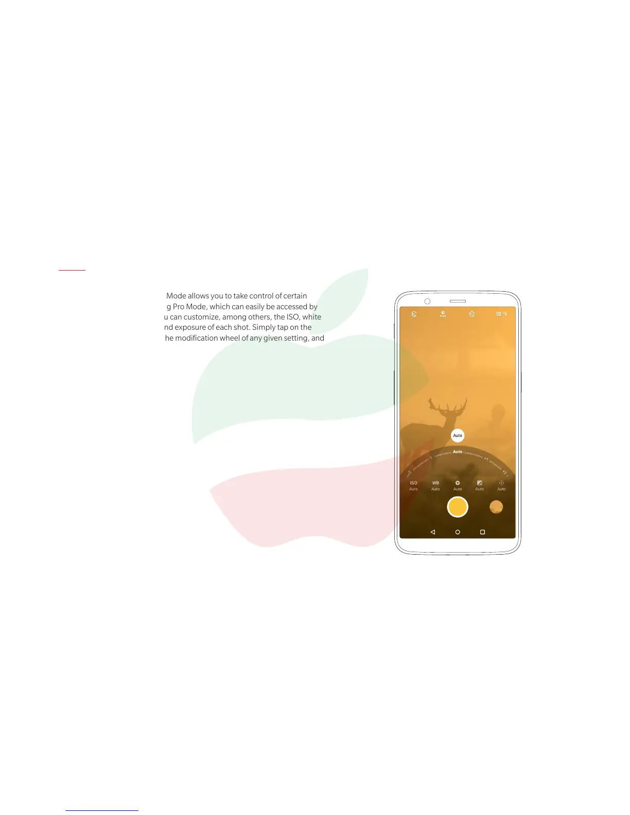 Page #12 background image