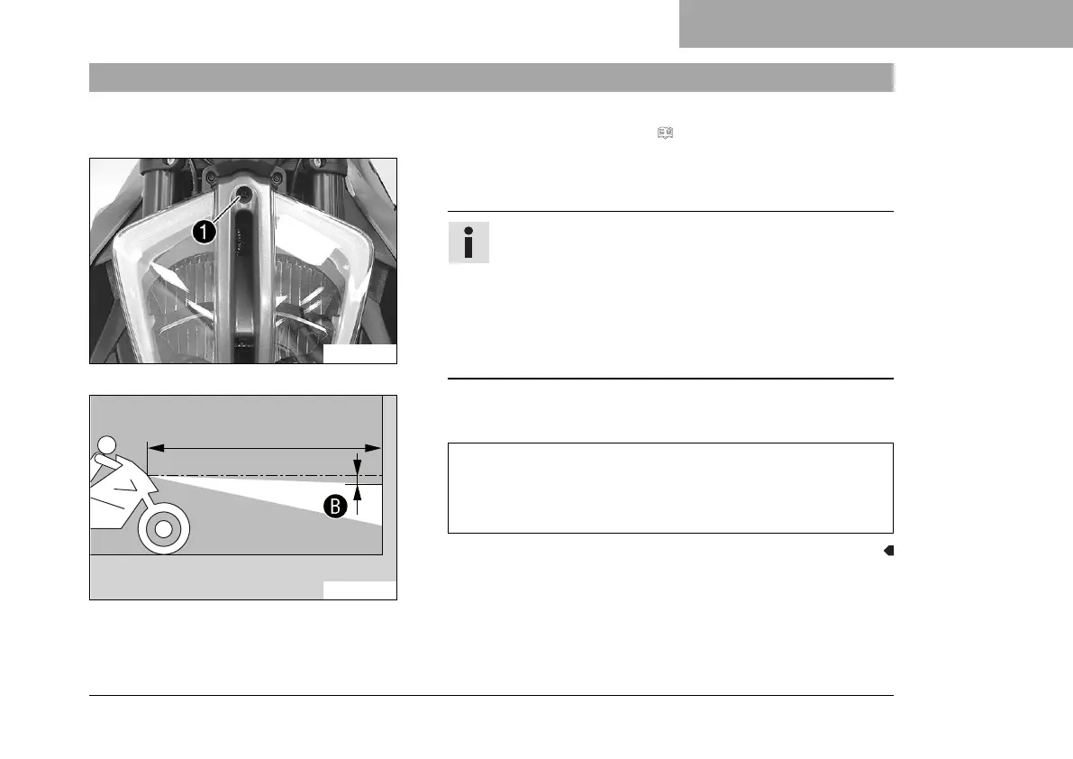 Page #239 background image