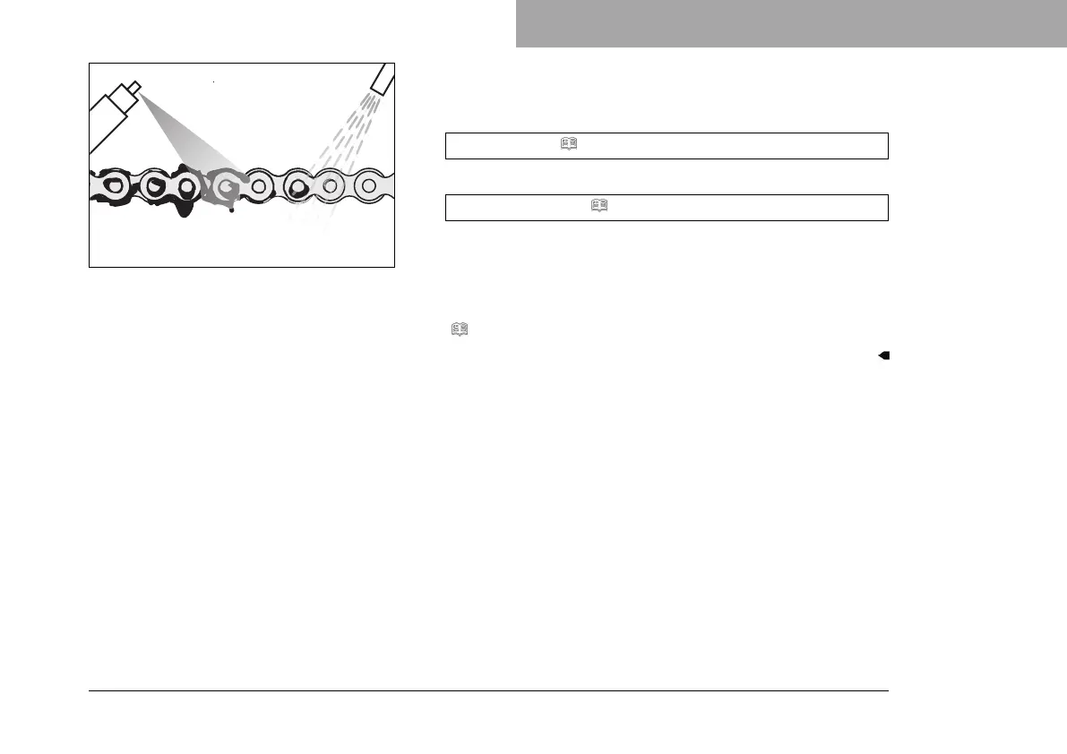 Page #203 background image