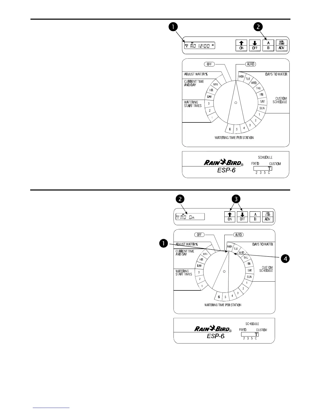 Page #6 background image