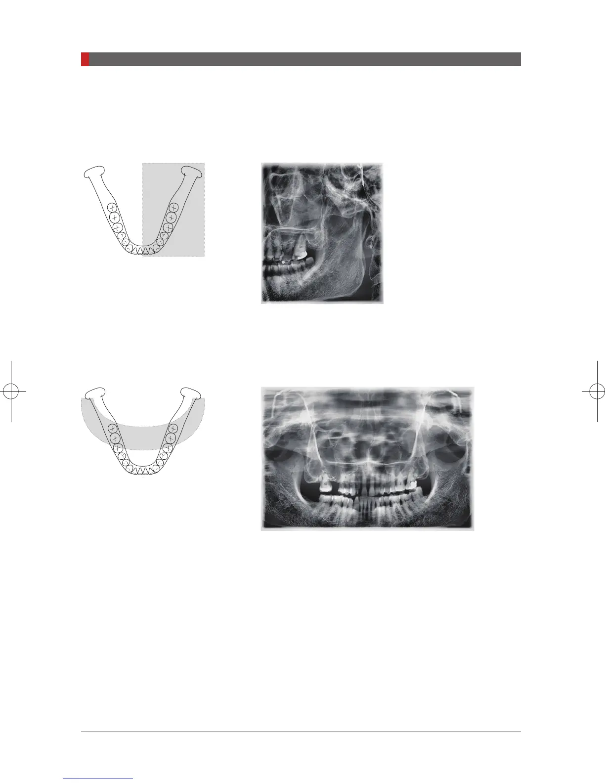 Page #64 background image