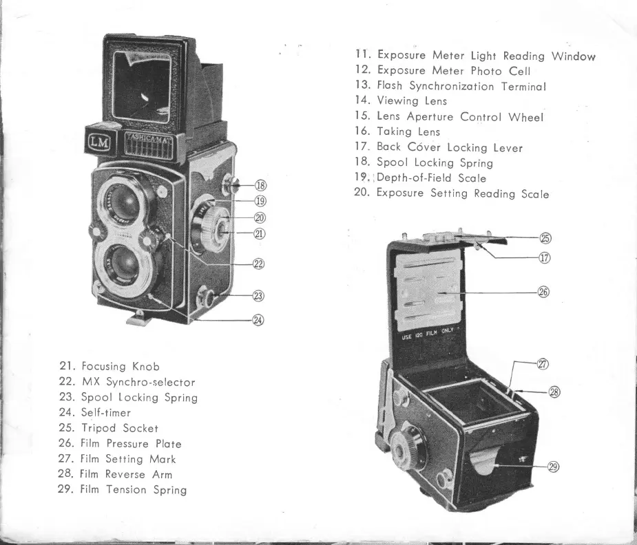 Page #4 background image