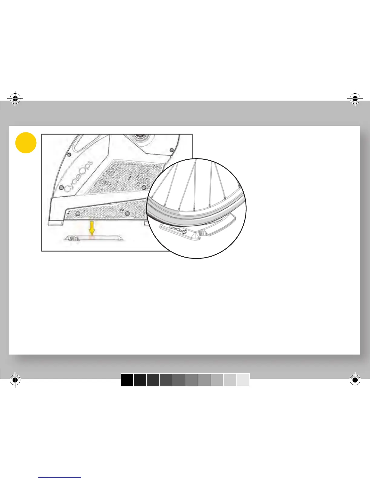 Page #8 background image