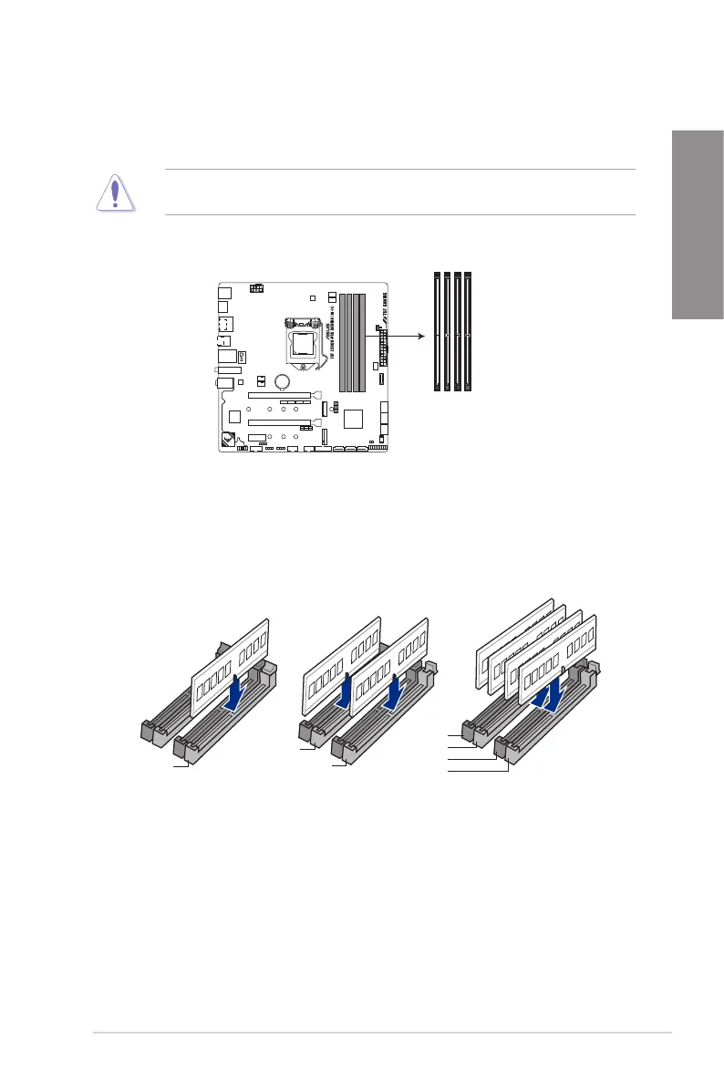 Page #21 background image
