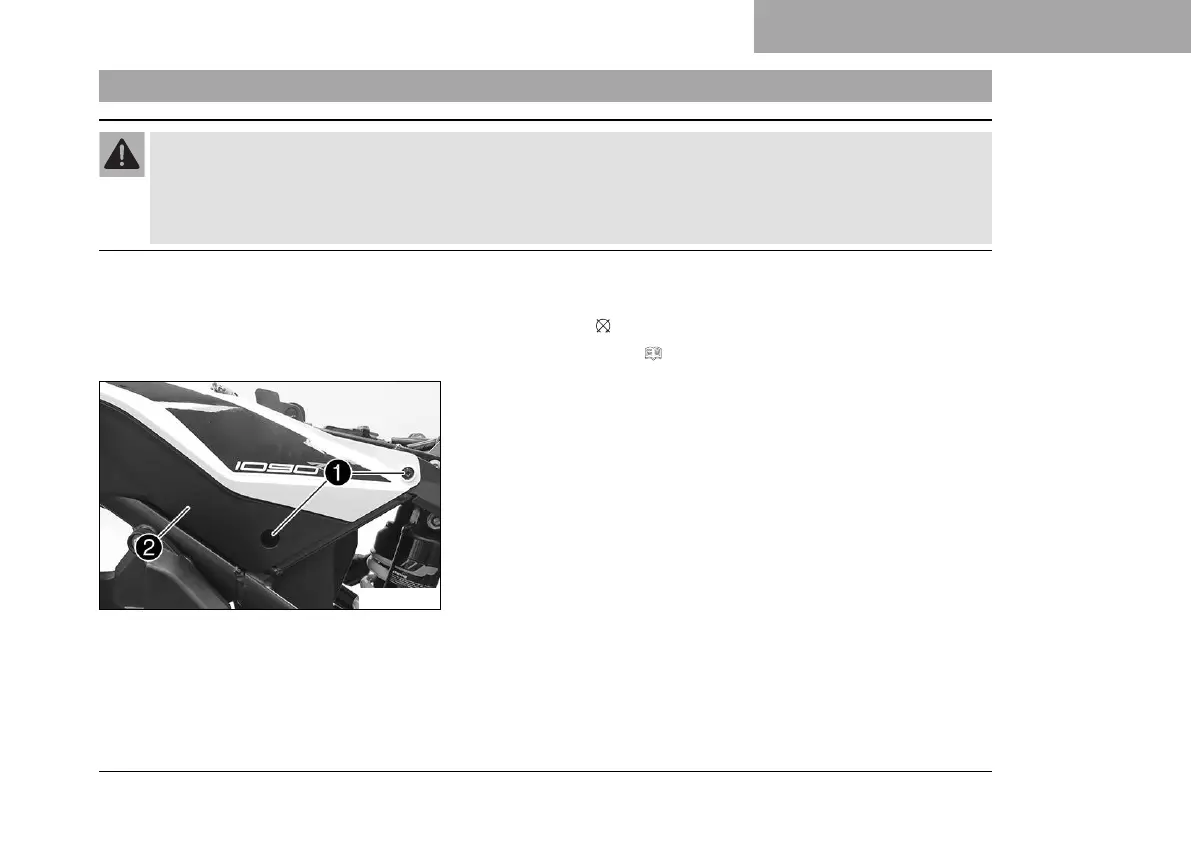 Page #219 background image