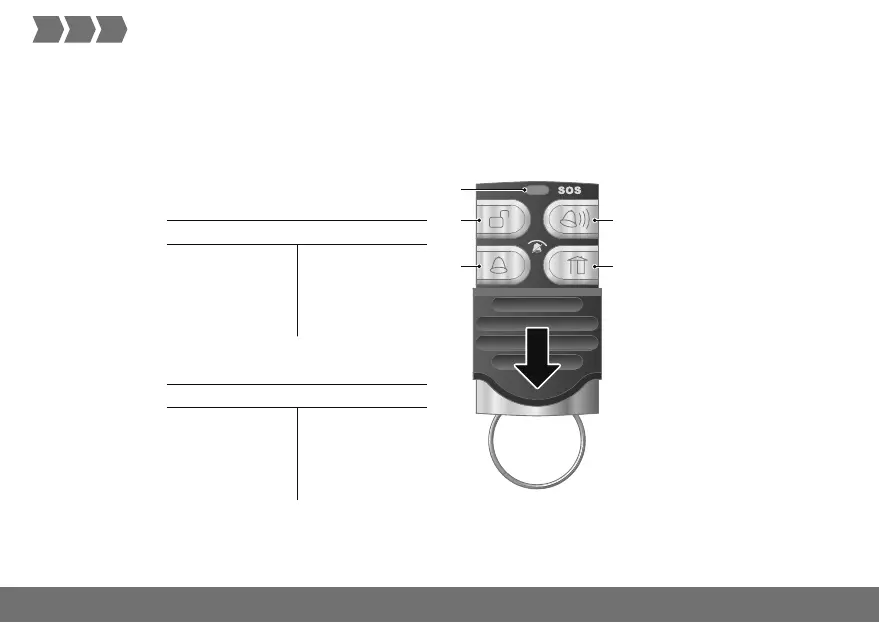 Page #14 background image