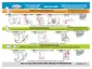 Preview: Quick Start Guide
