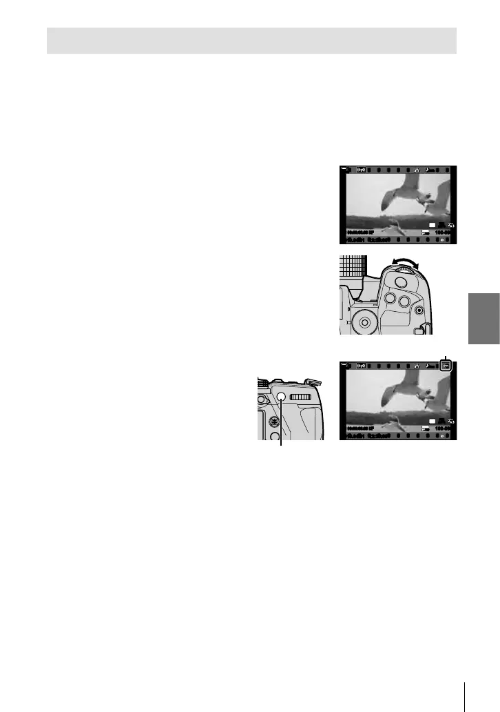 Page #439 background image