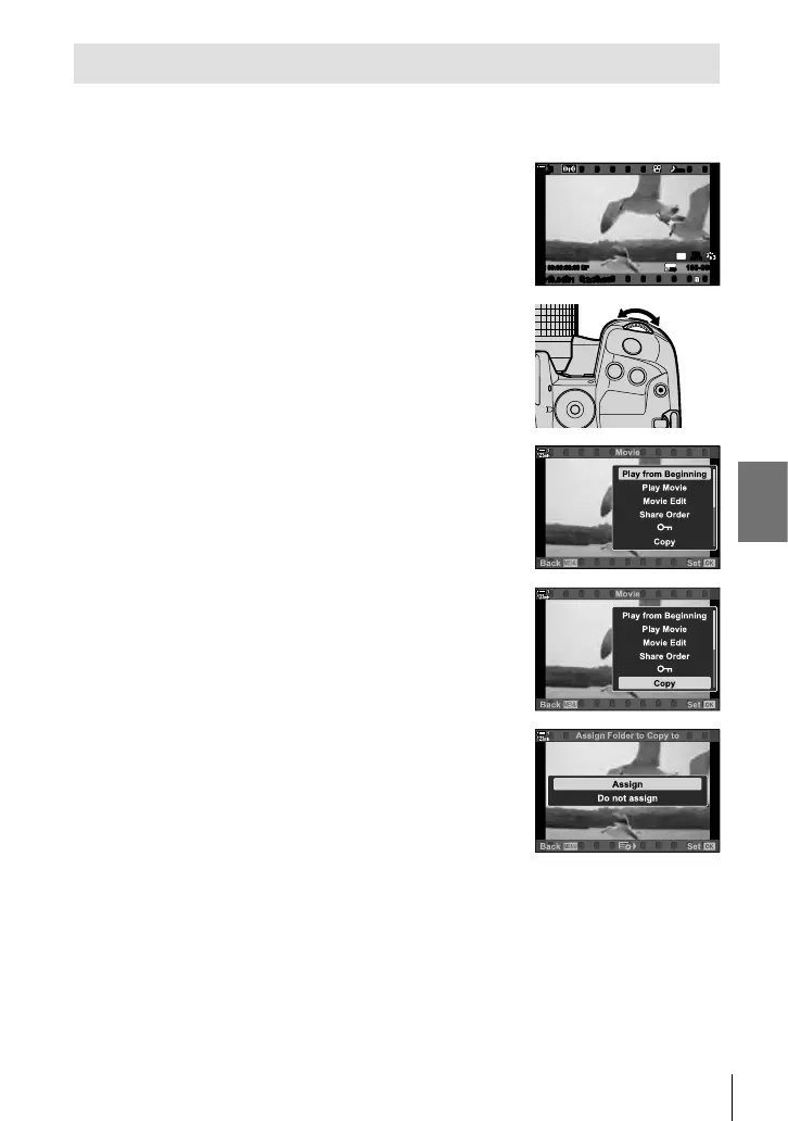 Page #441 background image