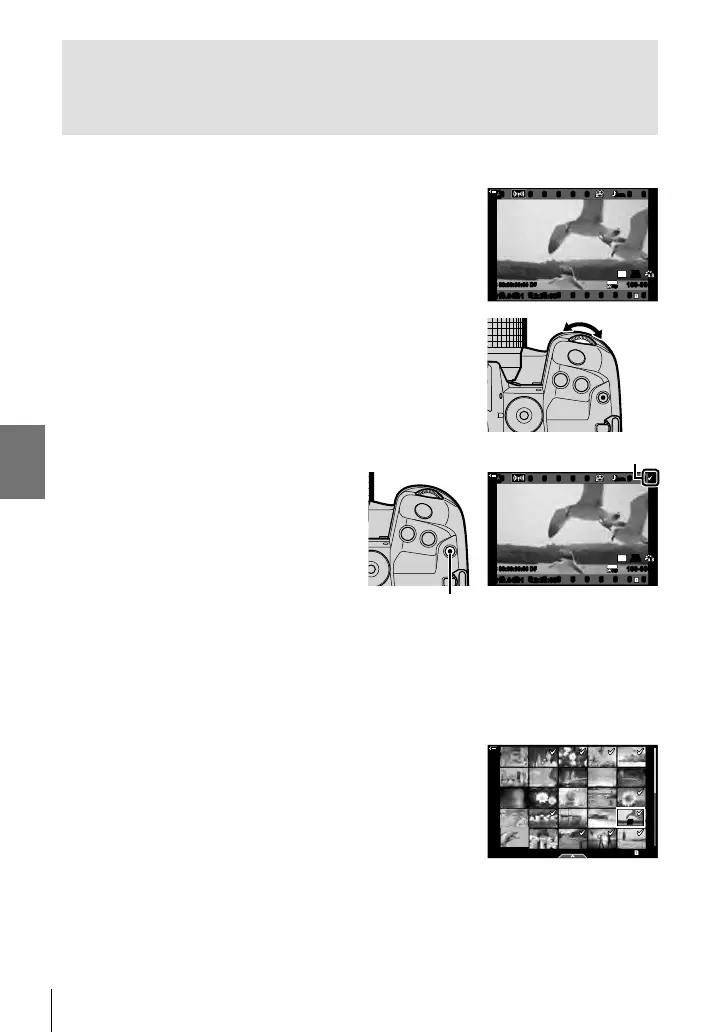 Page #448 background image