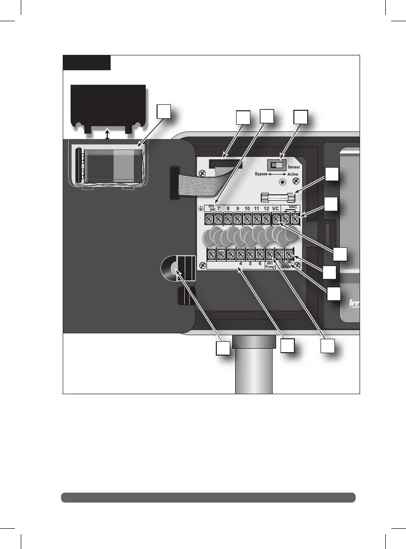 Page #11 background image