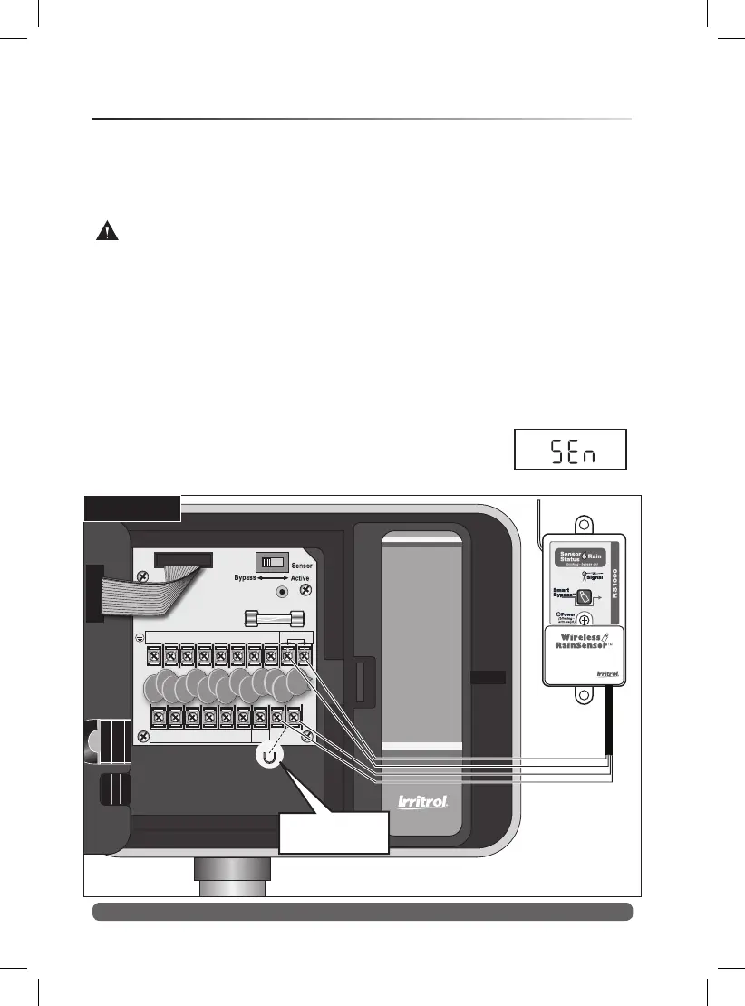 Page #14 background image