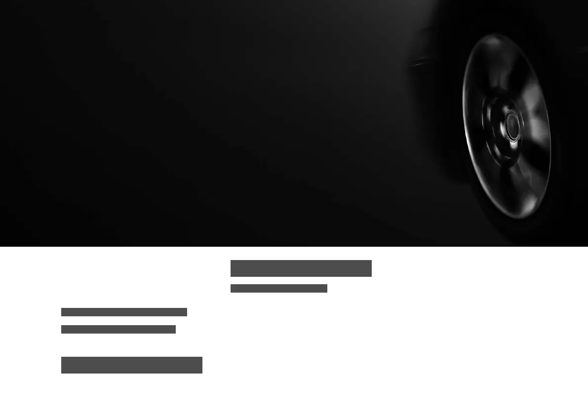 Page #303 background image
