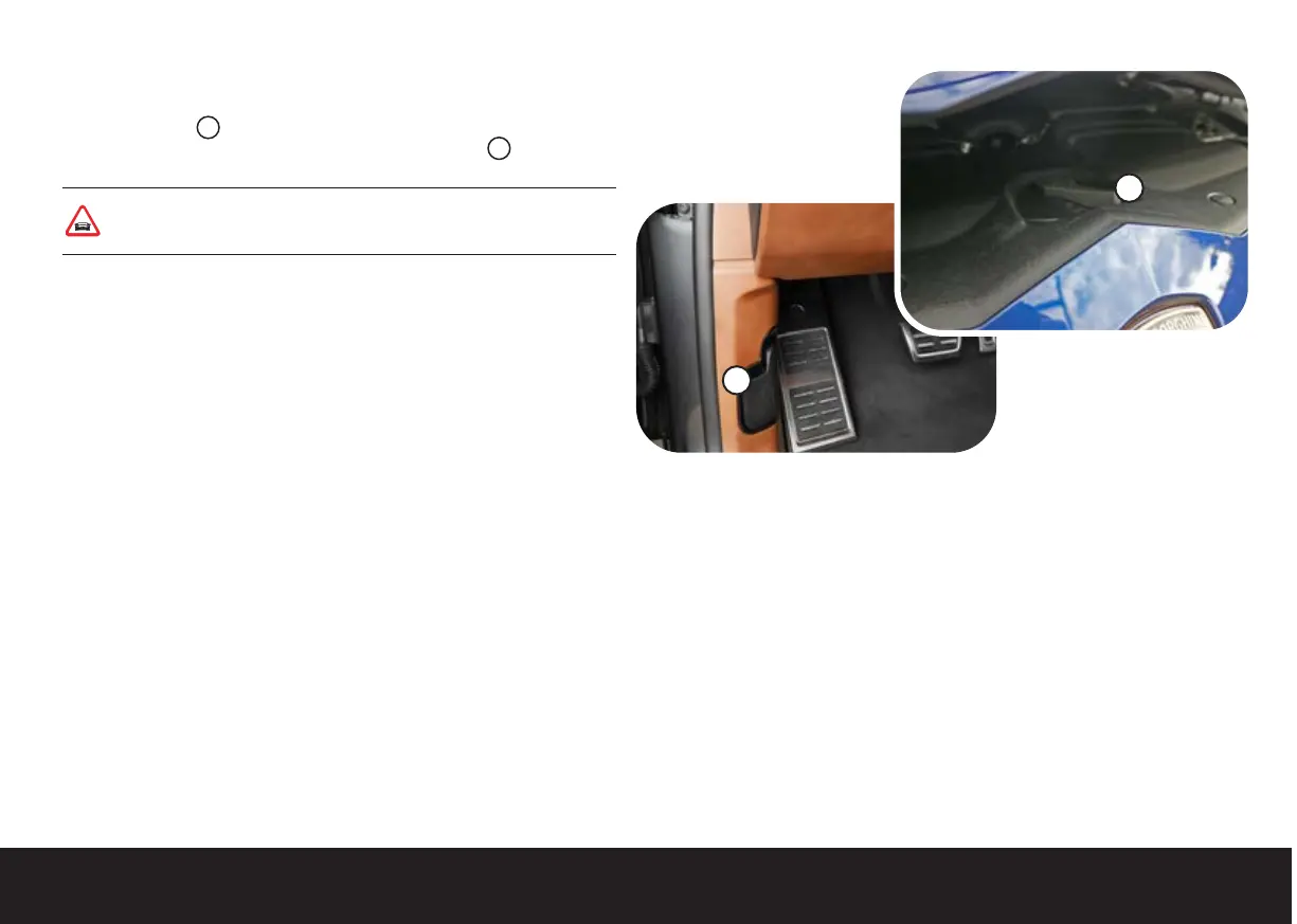 Page #45 background image