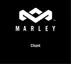 Preview: Manual