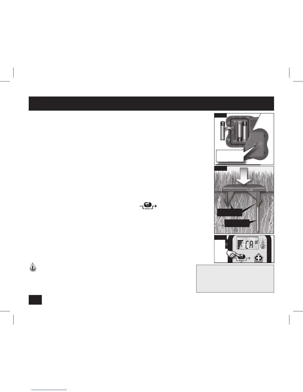 Page #8 background image