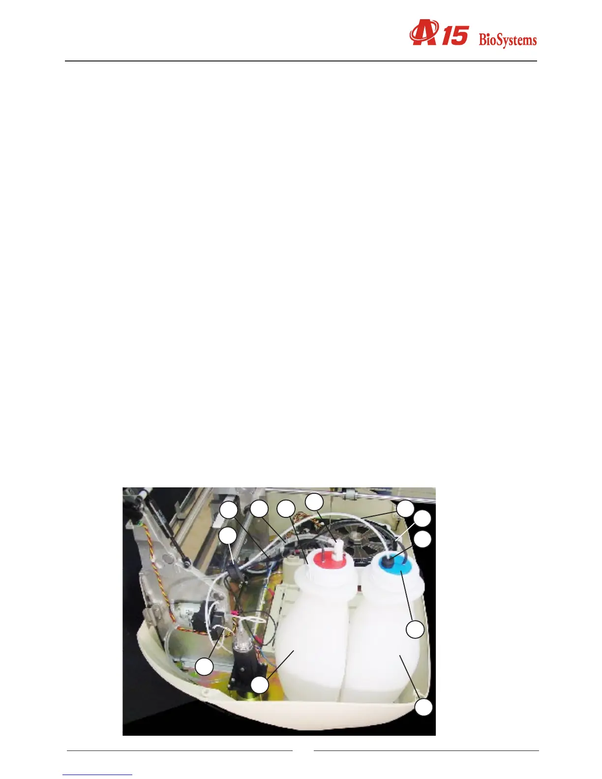 Page #21 background image