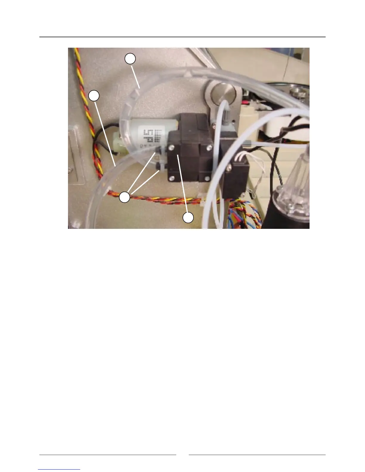 Page #24 background image