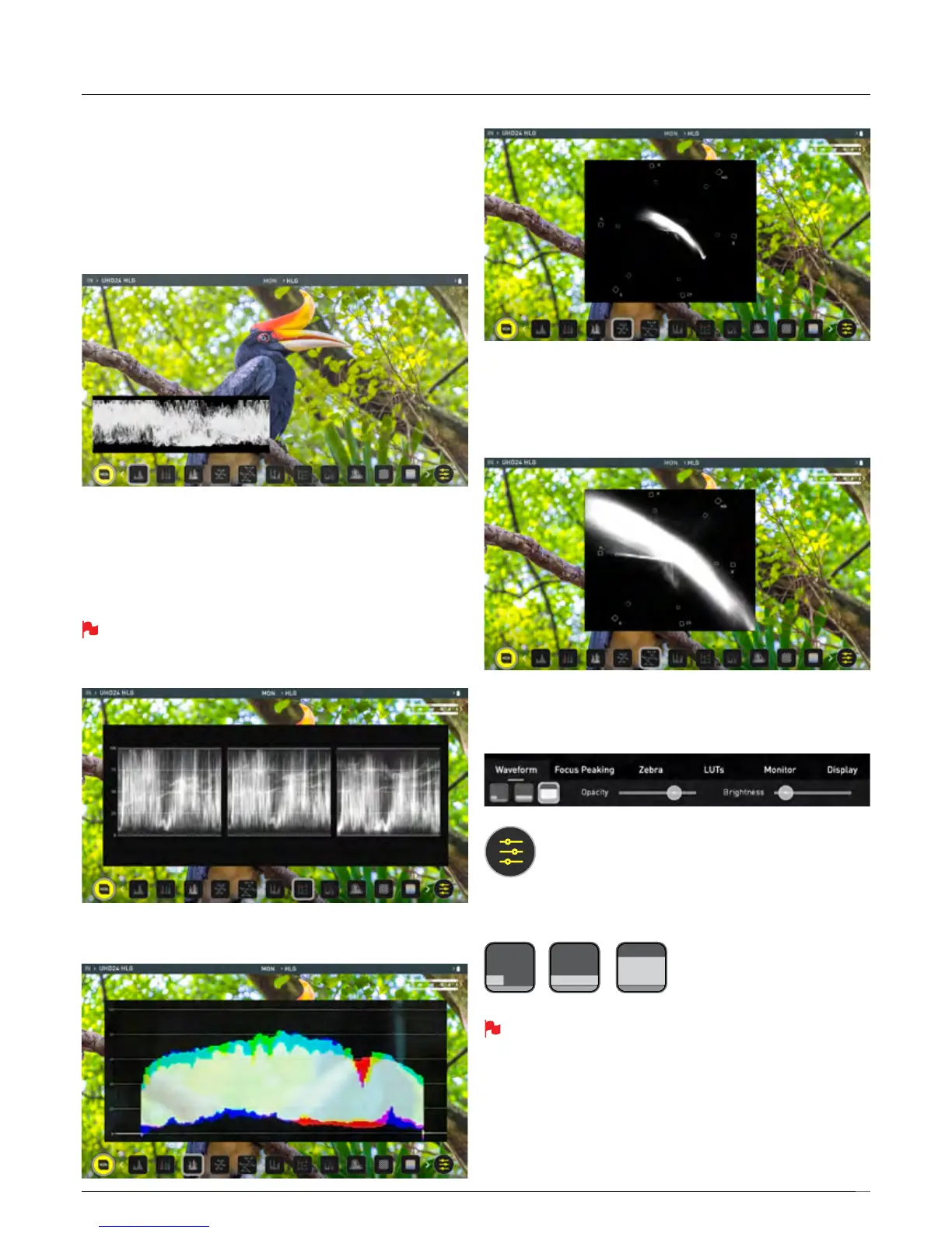 Page #16 background image