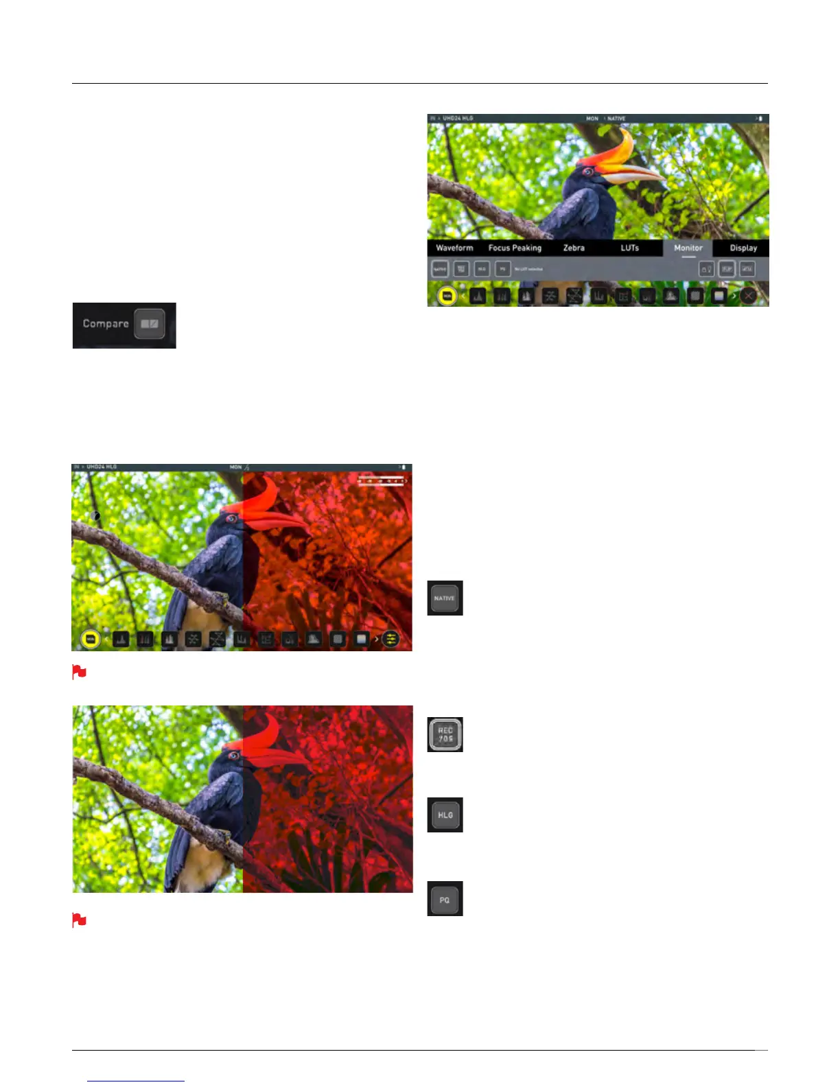 Page #21 background image