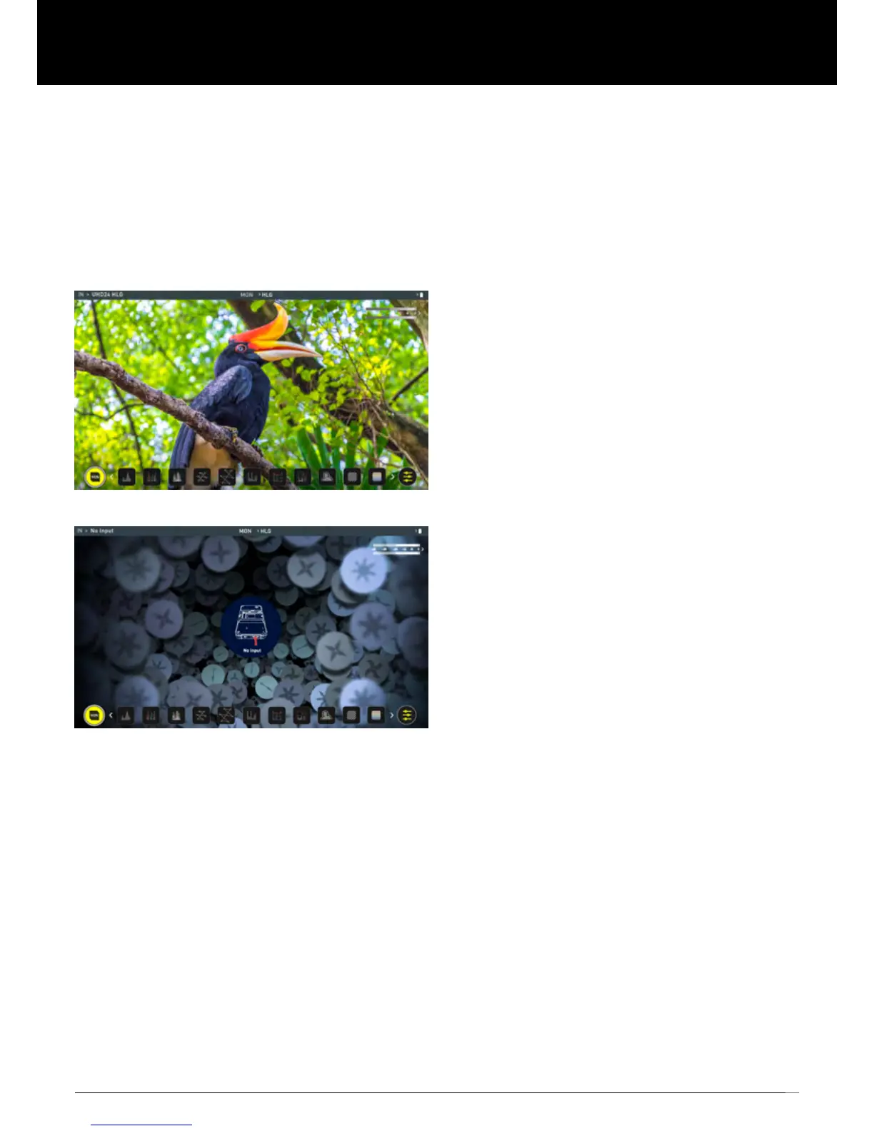 Page #11 background image