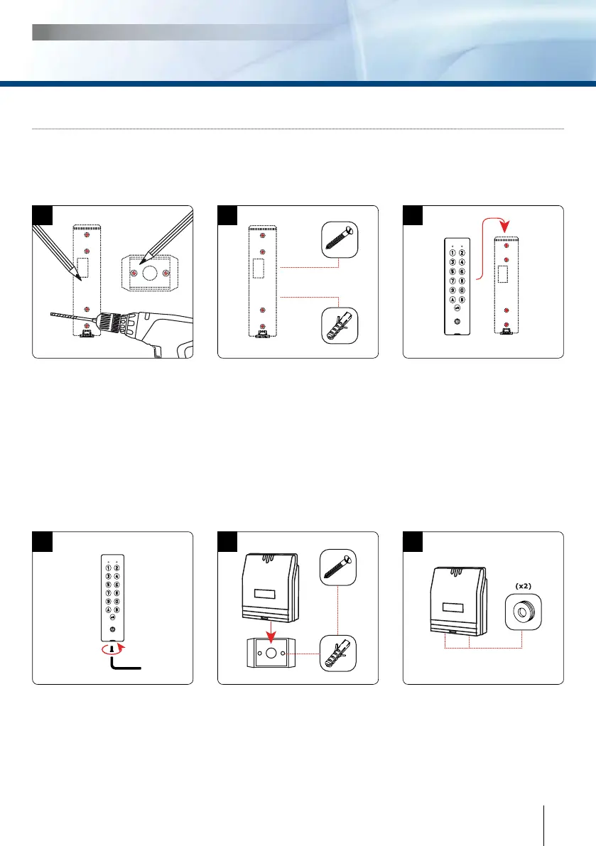 Page #3 background image