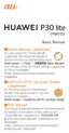 Preview: Basic Manual