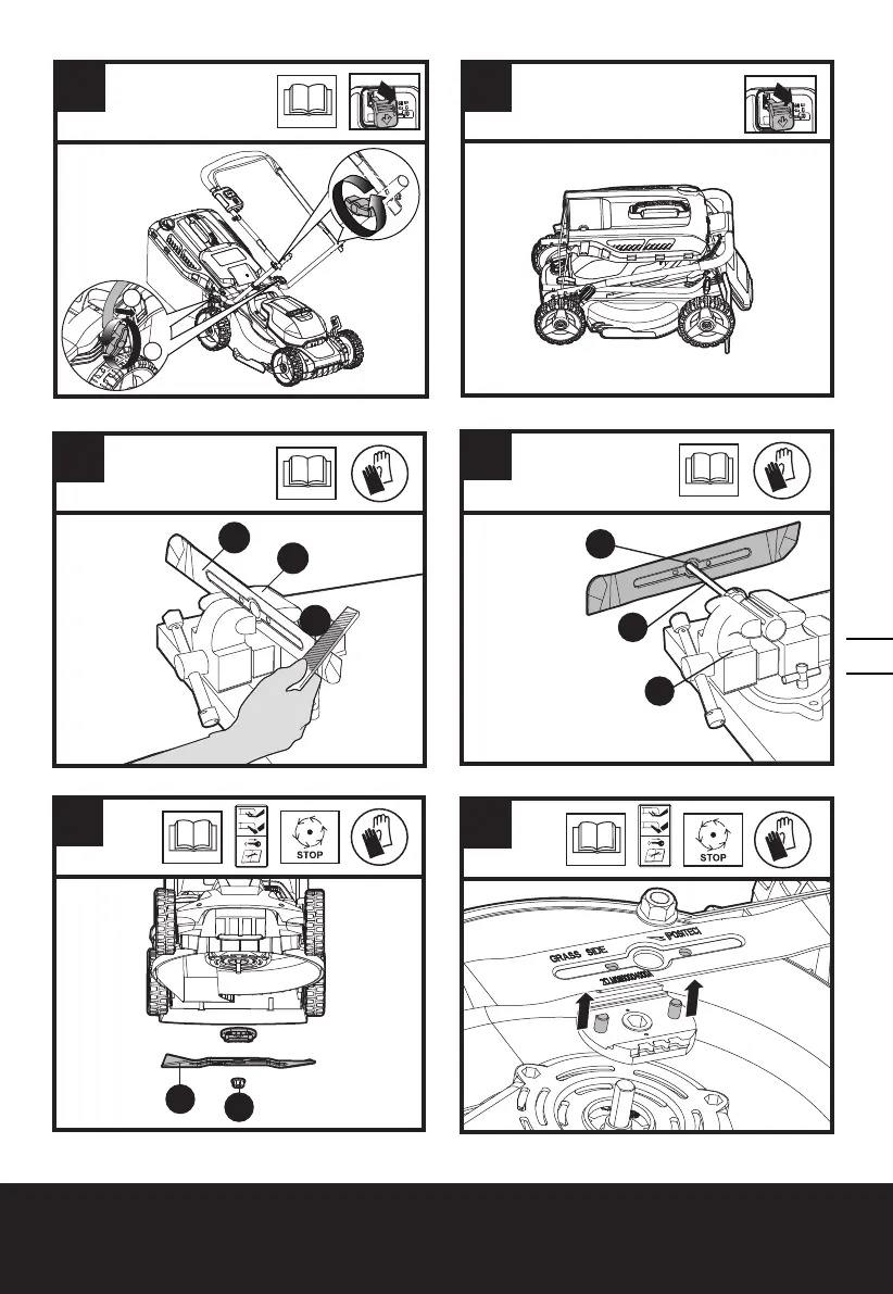 Page #15 background image