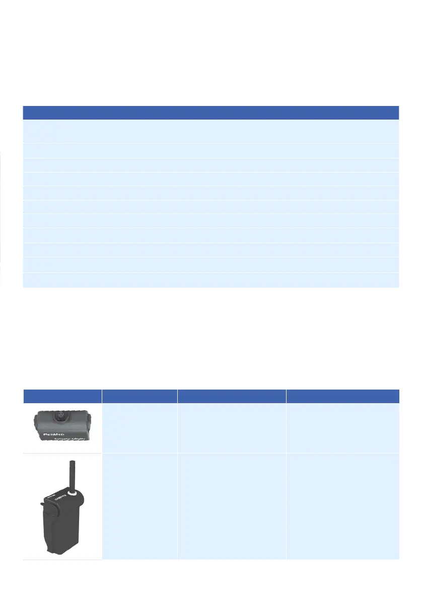 Page #29 background image