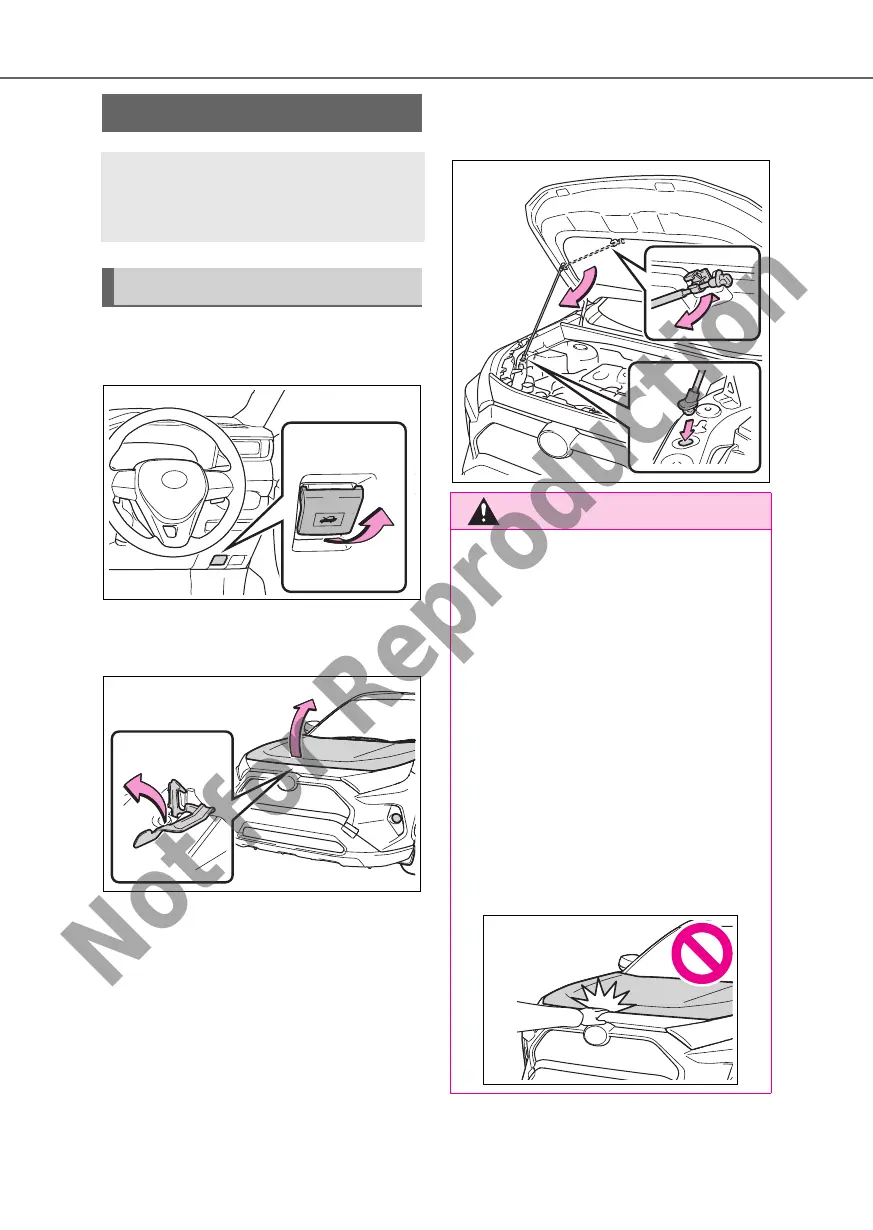 Page #324 background image