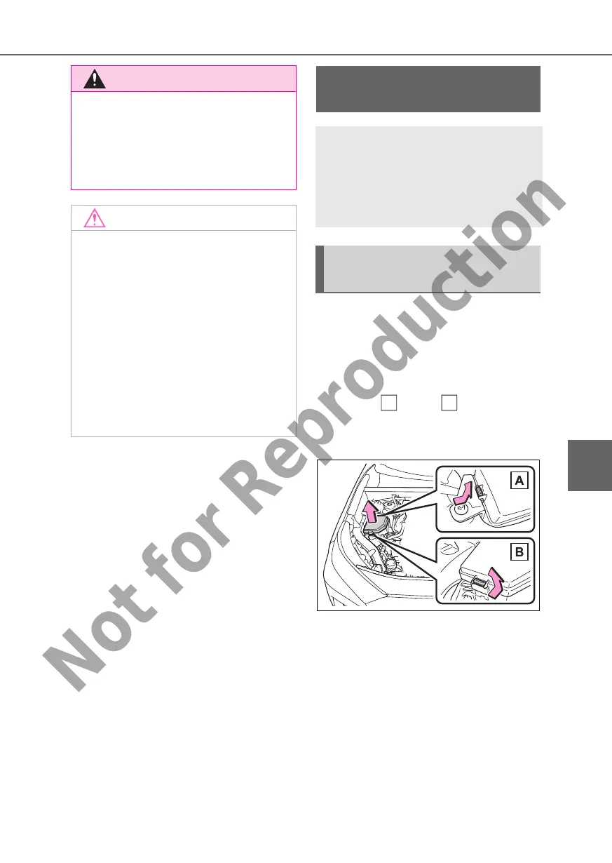 Page #345 background image