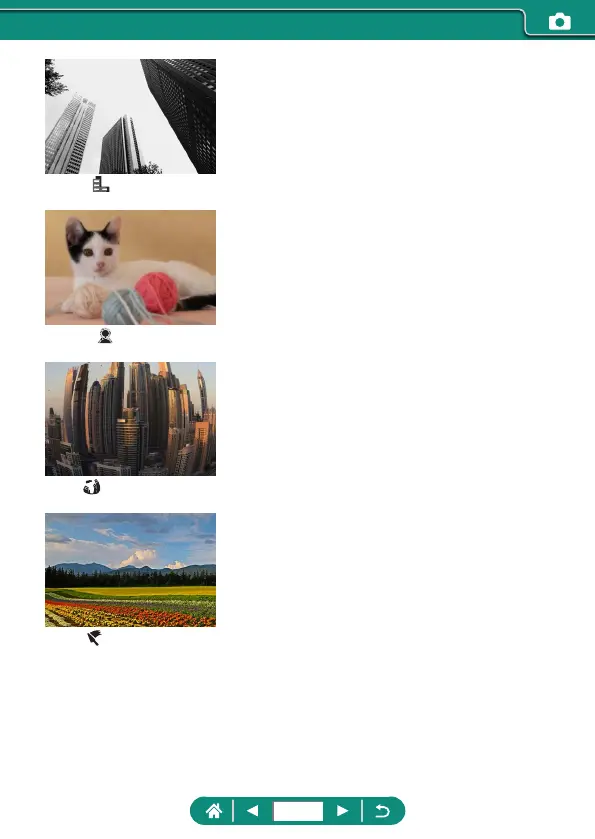 Page #62 background image