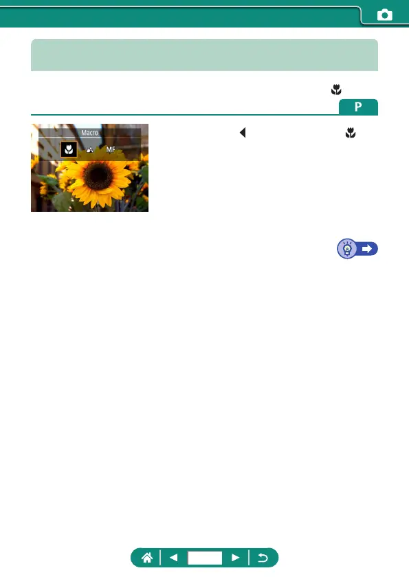 Page #79 background image