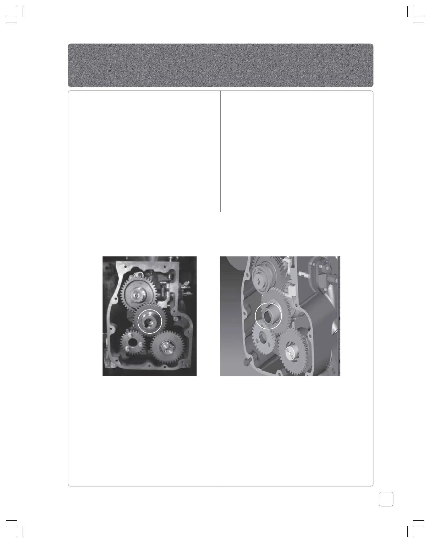 Page #31 background image
