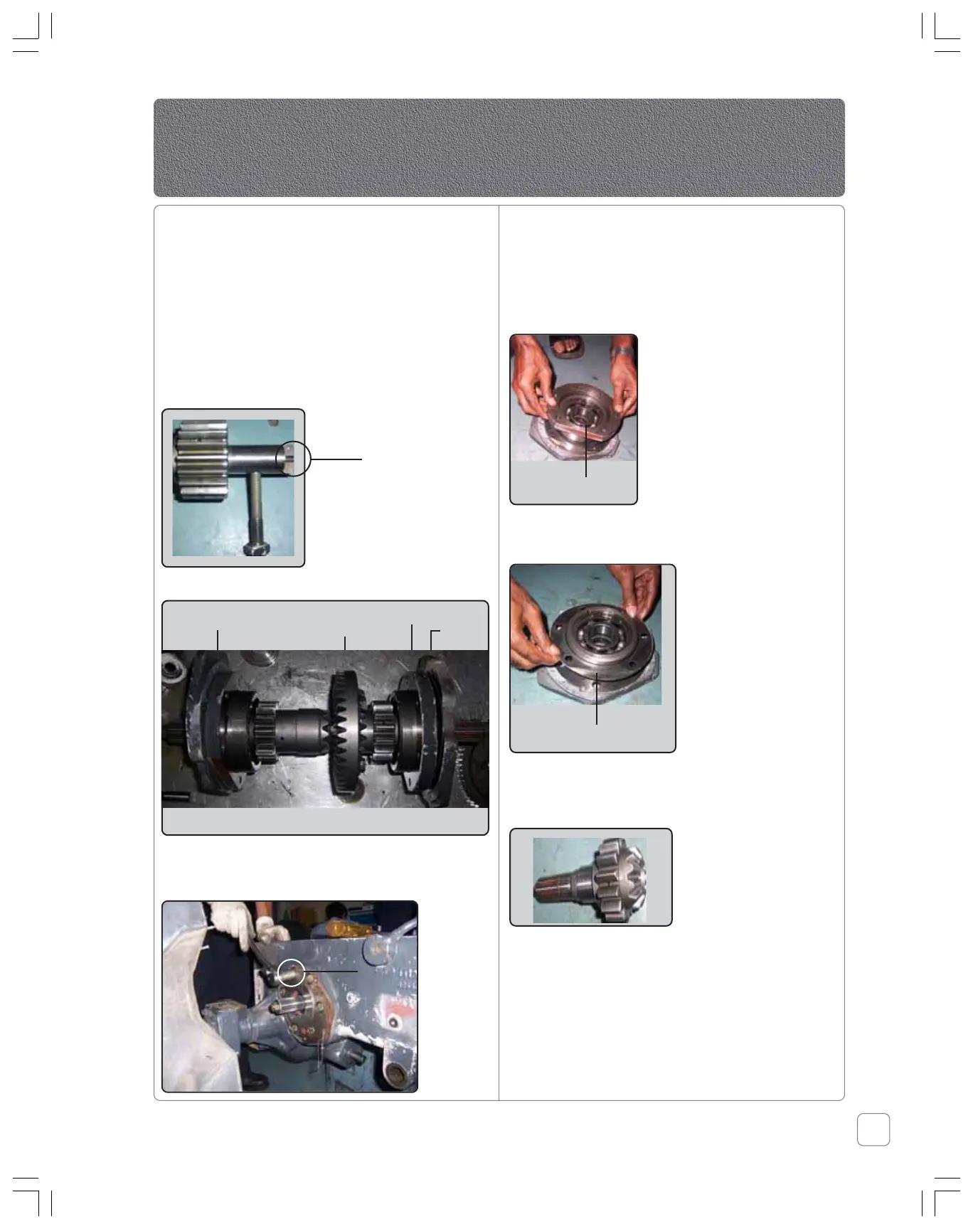 Page #43 background image