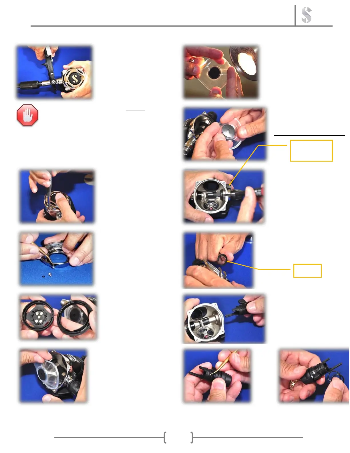 Page #3 background image