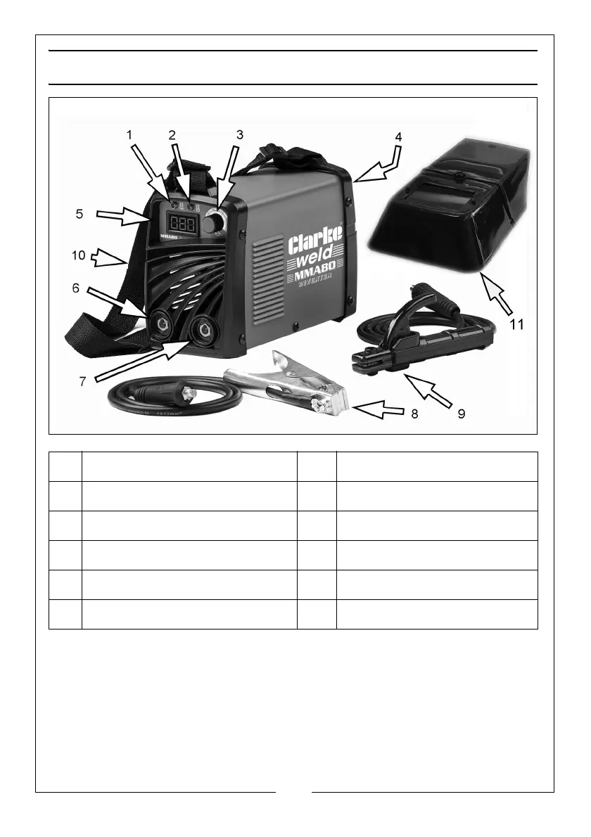 Page #8 background image