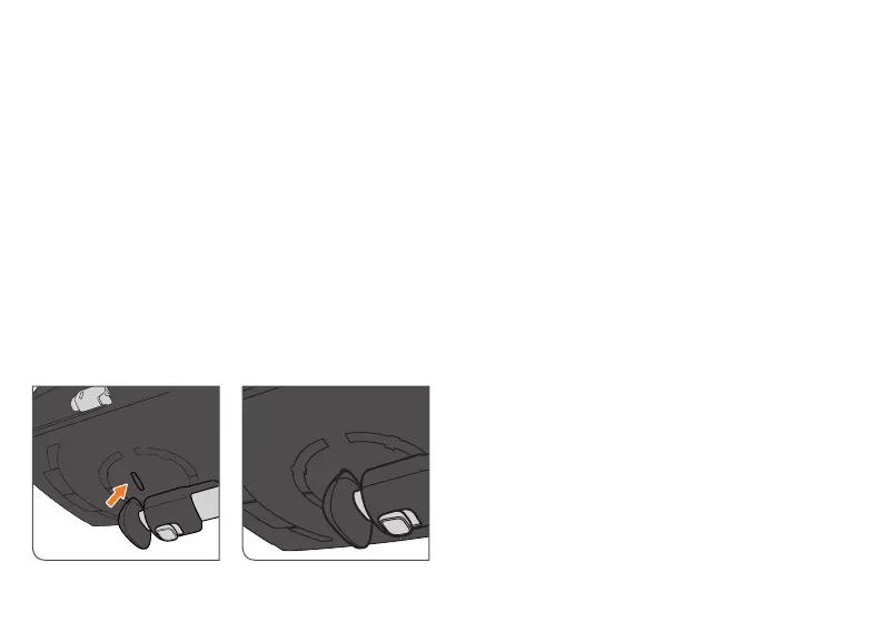 Page #66 background image