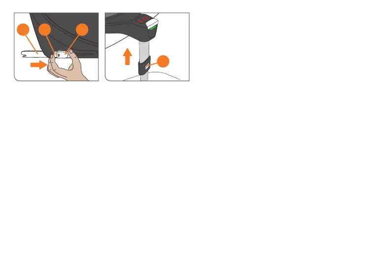 Page #242 background image