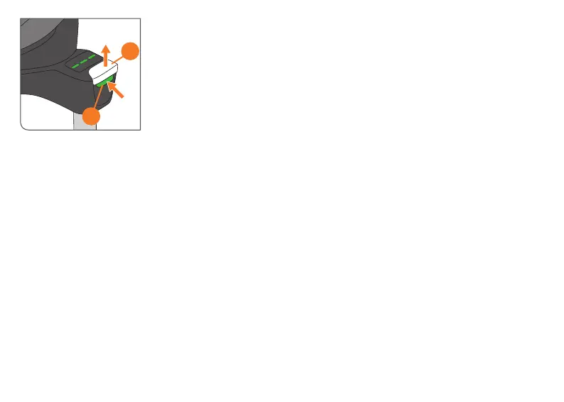 Page #246 background image