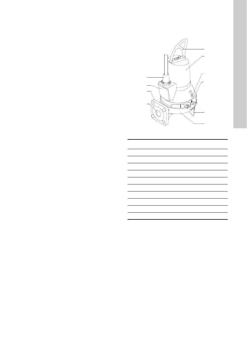 Page #13 background image