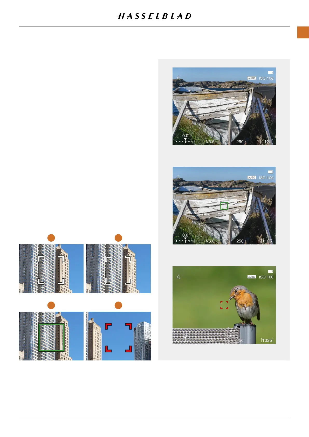 Page #70 background image