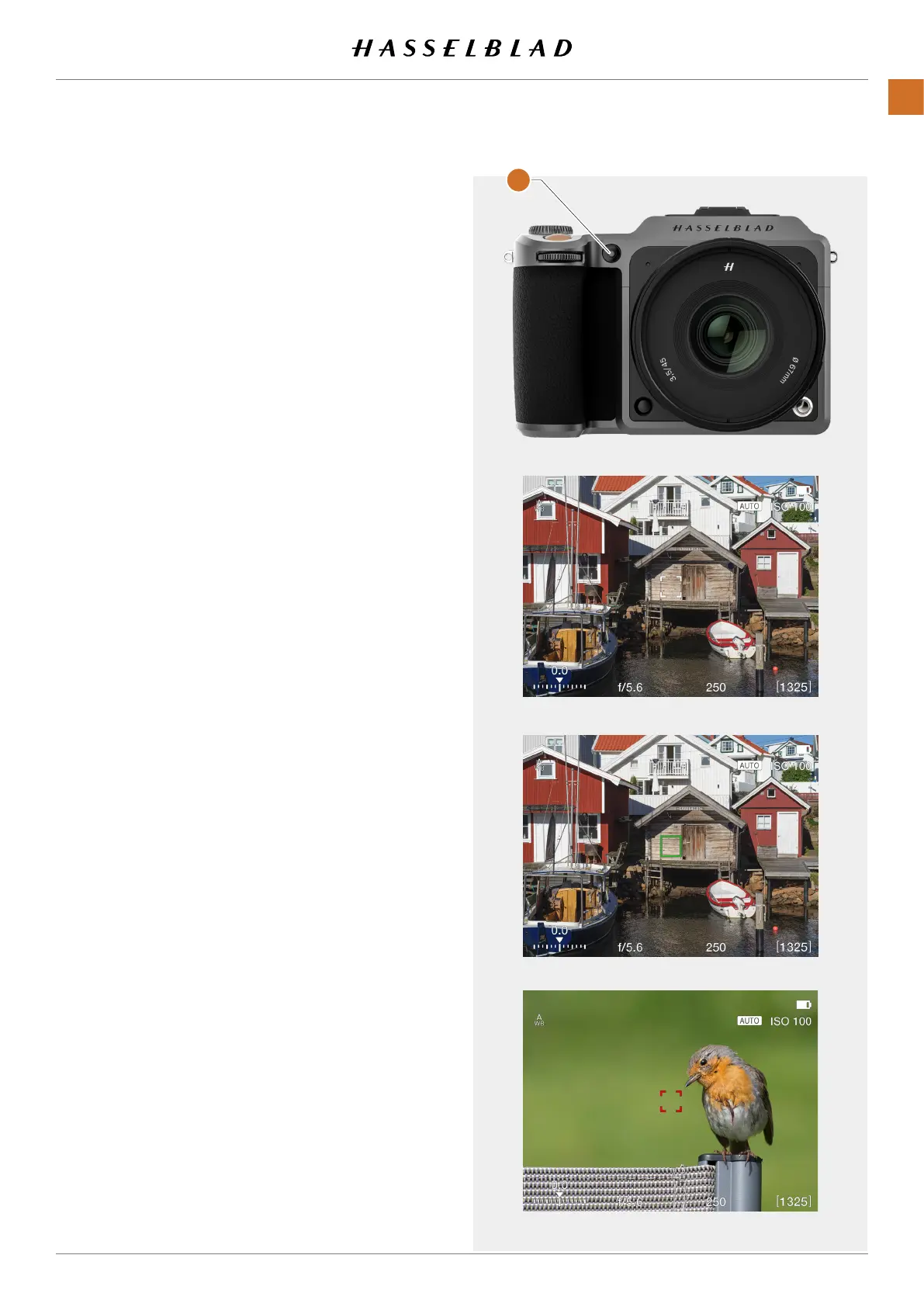 Page #72 background image