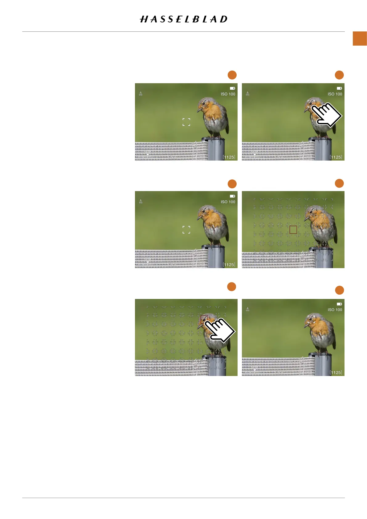 Page #76 background image