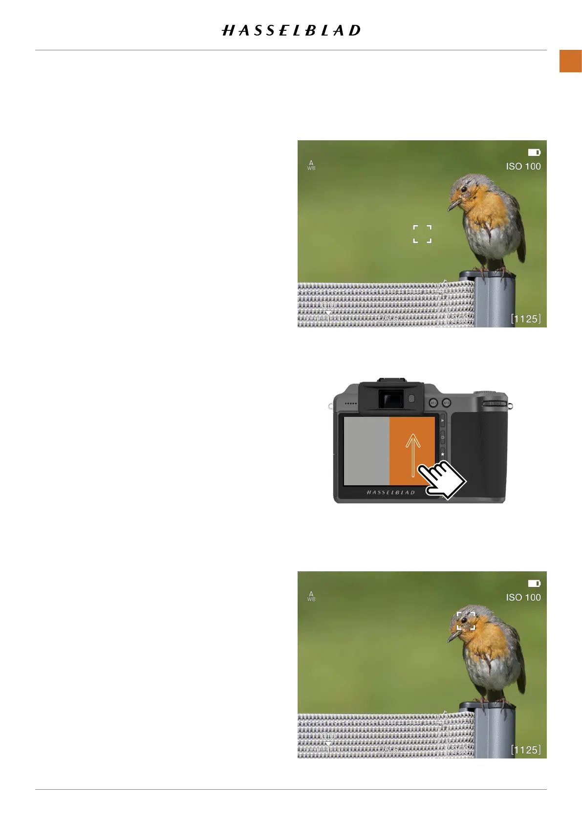 Page #78 background image