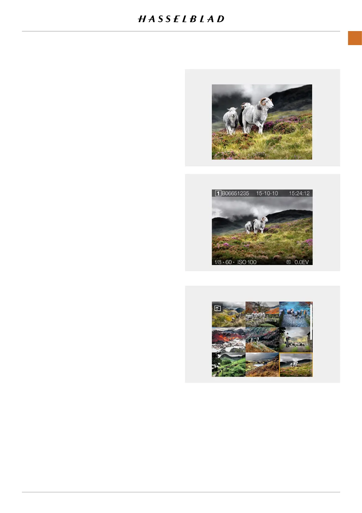 Page #82 background image